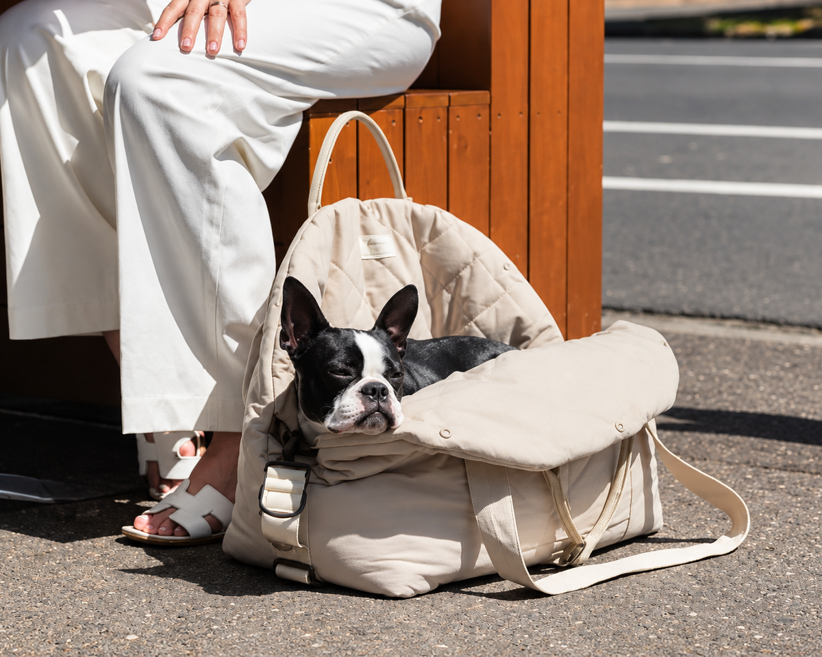 Enzote - Bolso Transportador