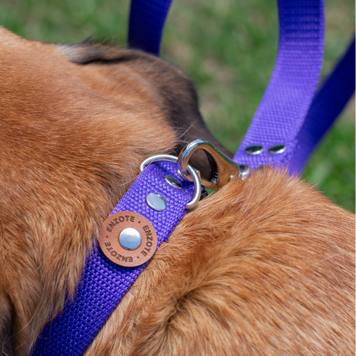 Enzote - Collar Regulable